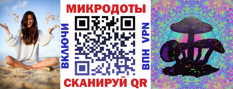 Галлюциногенные грибы Psilocybe  Ковров 